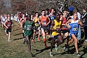 2012NCAA XC-120